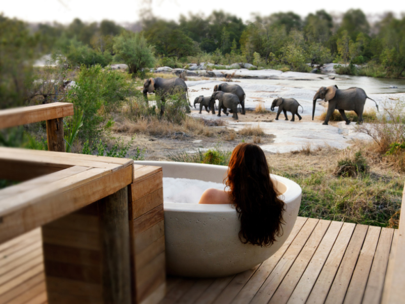 Londolozi Deck Bathing
