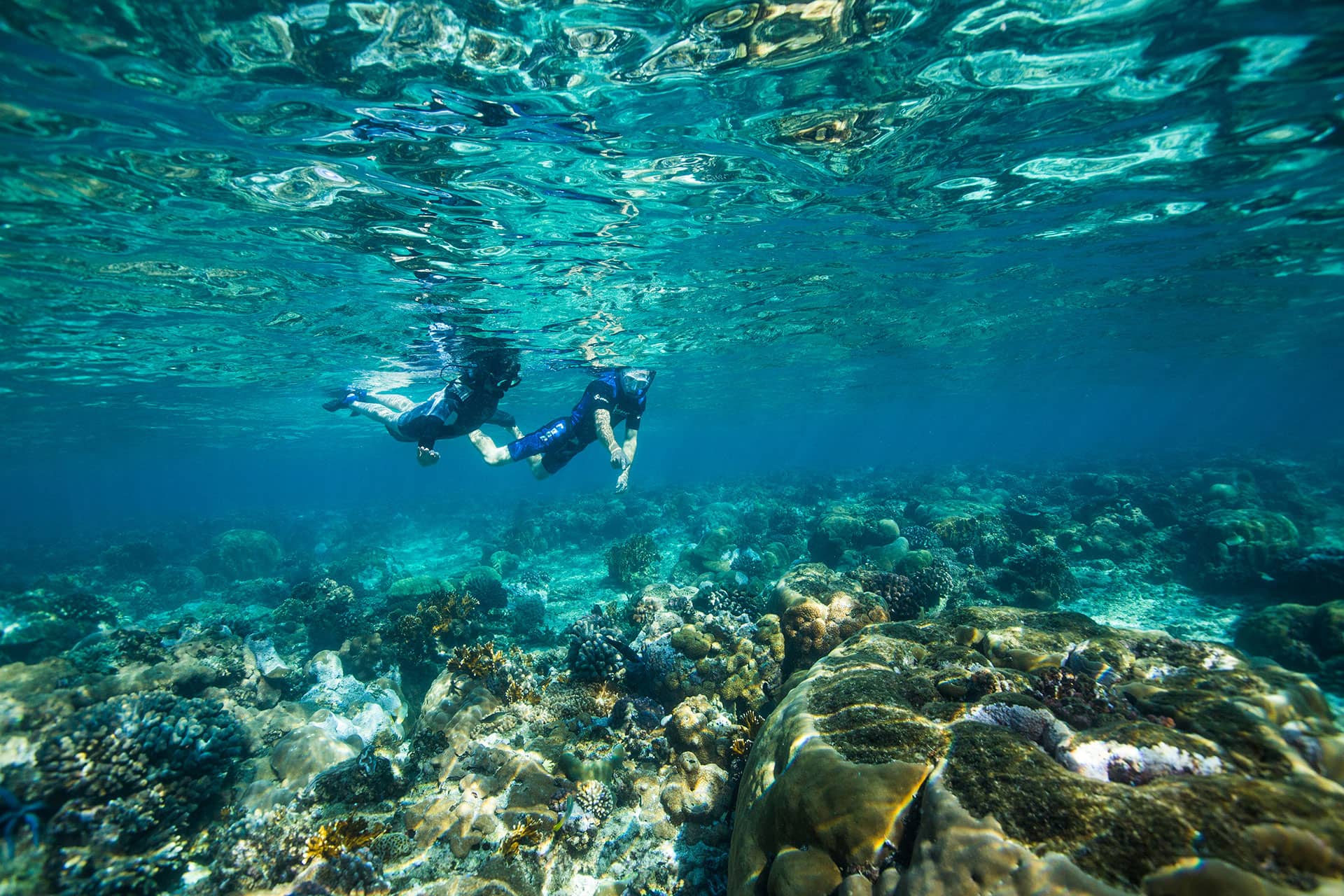 People snorkeling in the clear waters of the Bazaruto Archipelago