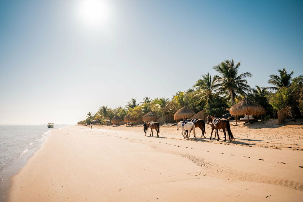 Guests horse riding on the beach of Bazaruto islands