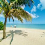 white sands with palm trees in Azura Benguerra