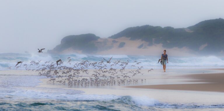 Miles and miles of beach to explore from Machangulo Beach Lodge