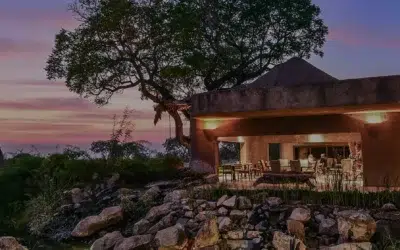 Sabi Sabi Earth Lodge