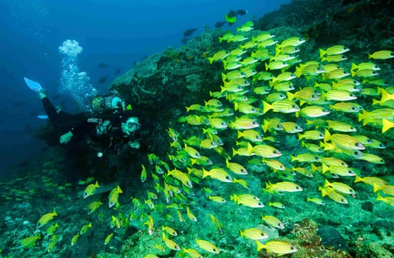 Snorkelling adventures from Machangulo Beach Santa Maria