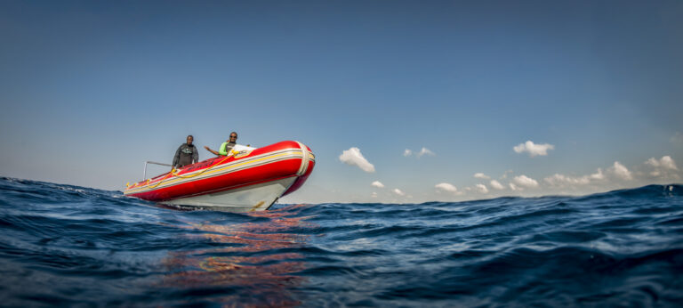 Diving from White Pearl