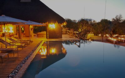 Safaris to Kapama River Lodge Kruger National Park