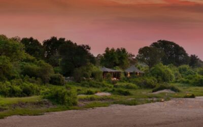 AndBeyond Ngala Safari Lodge
