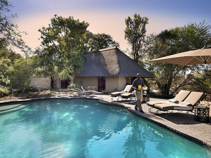 Outside pool area with sunbeds around it at andBeyond Ngala Safari Lodge
