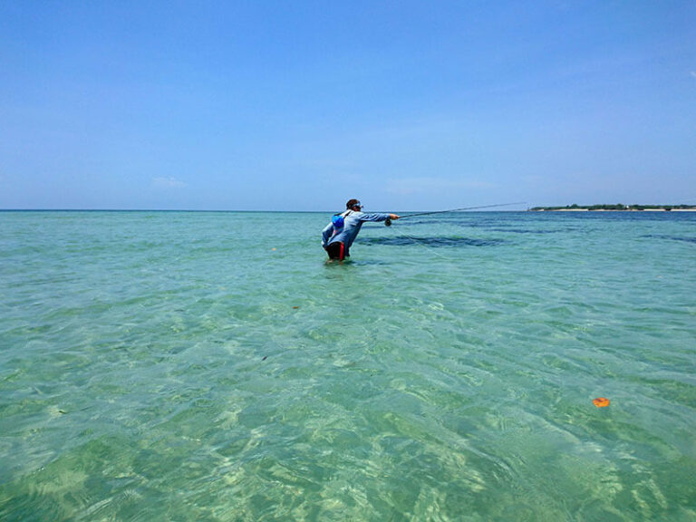 Situ Flyfishing