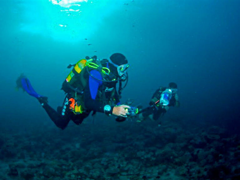 Situ Island Resort diving