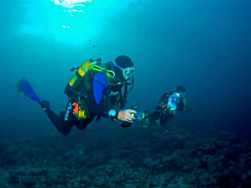 Situ Island Resort diving