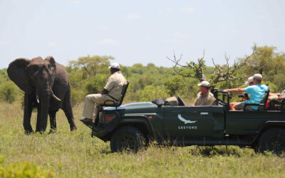 18 Nights Itinerary Cape Town, Kruger & Mozambique