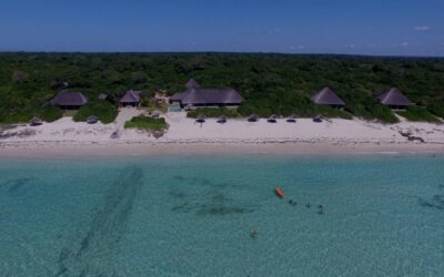 Explore and Rejuvenate at Ossimba