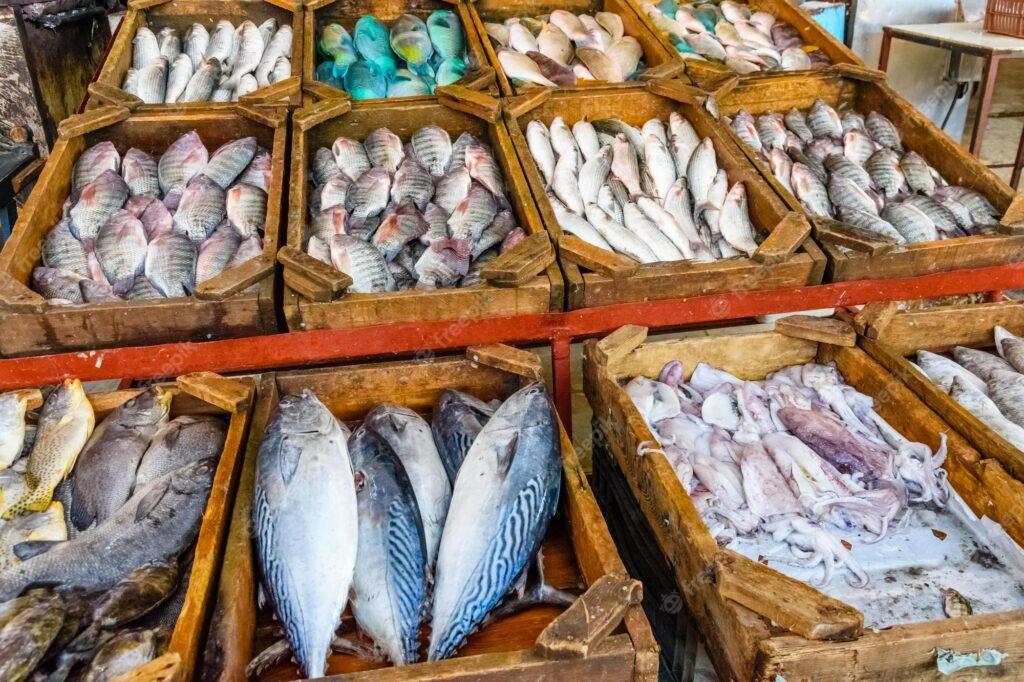 crates of different fish at the fish market in Maputo