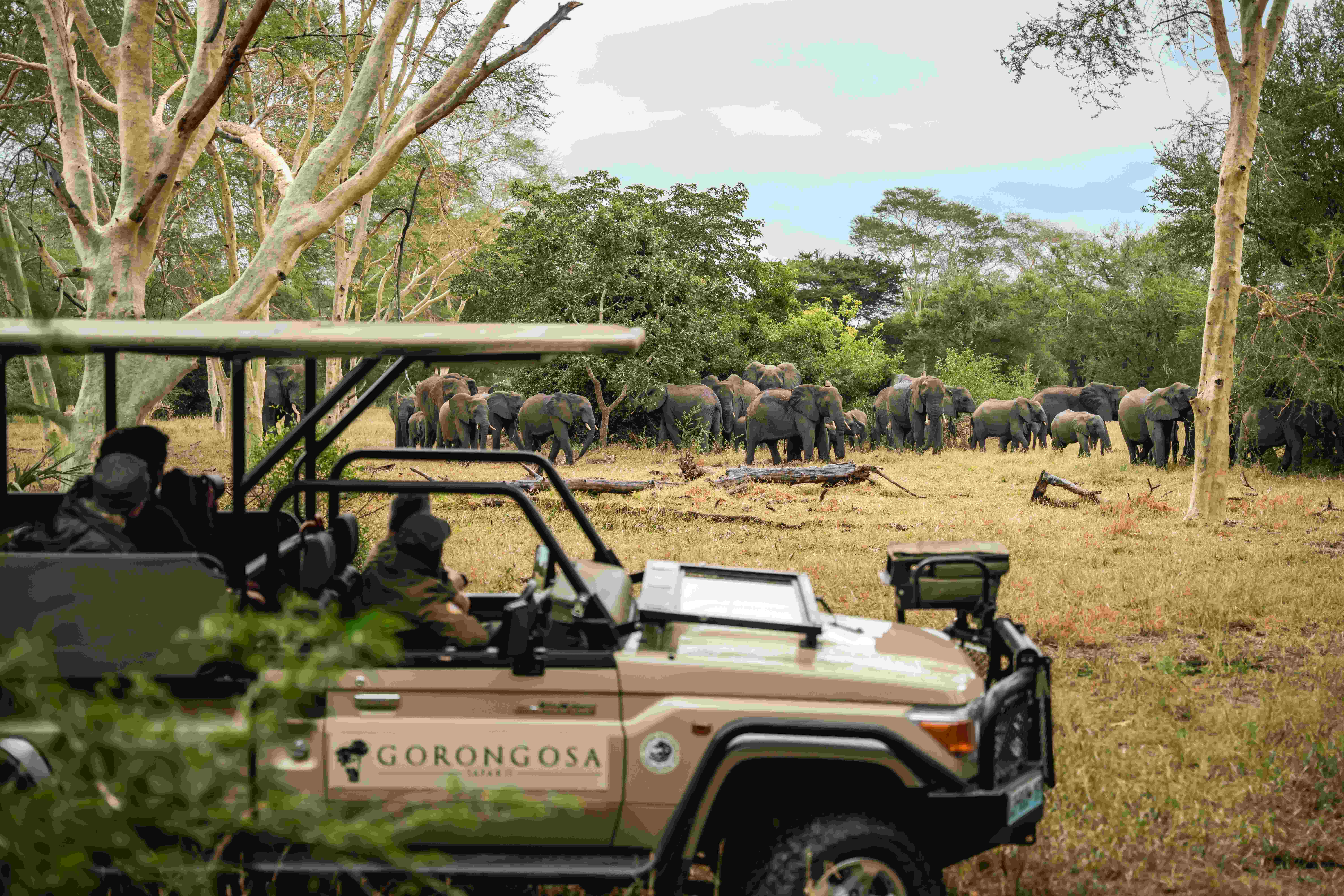 Safari vehicle viewing wildlife on the floodplains of Gorongosa National Park