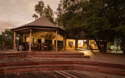 Luxury safari package to Gorongosa and Benguerra Island