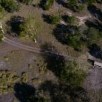 Aerial view of a 4x4 safari going through the bush at Gorongosa National Park in Mozambique