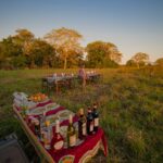 Drinks outside set on a table ready to be served at Wild Camp in Gorongosa