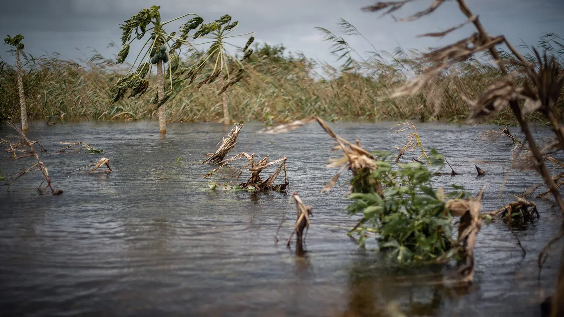 Destroyed and flooded crop fields in Mozambique after Cyclone Freddy