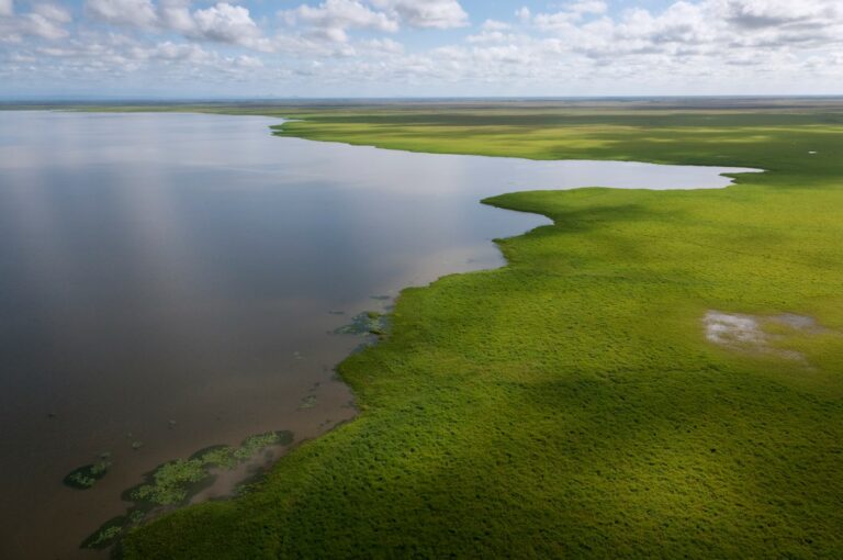 An aerial view of Gorongosa wetlands