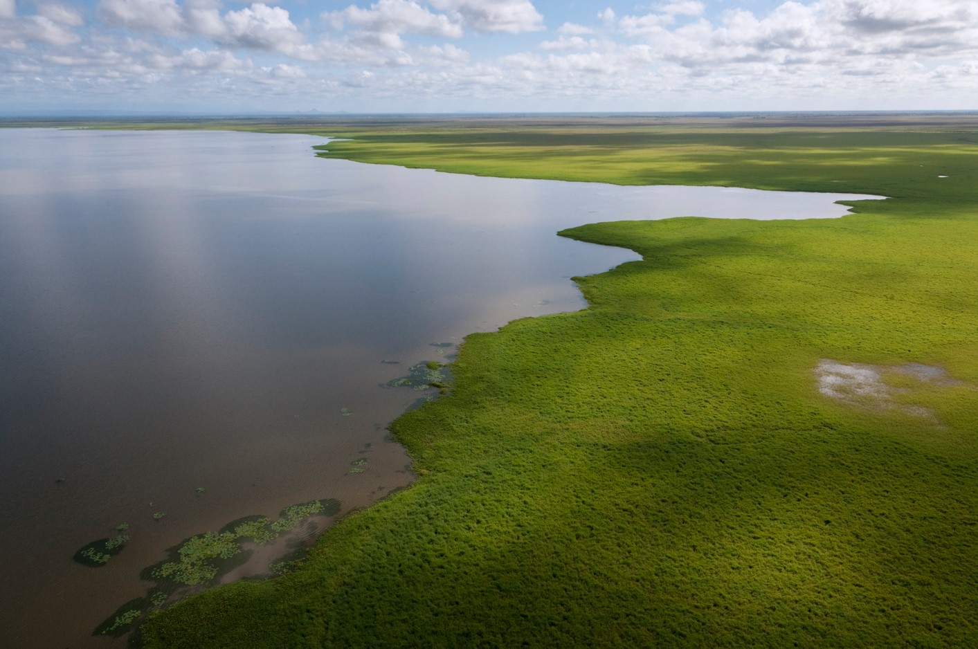 An aerial view of Gorongosa wetlands in Mozambique