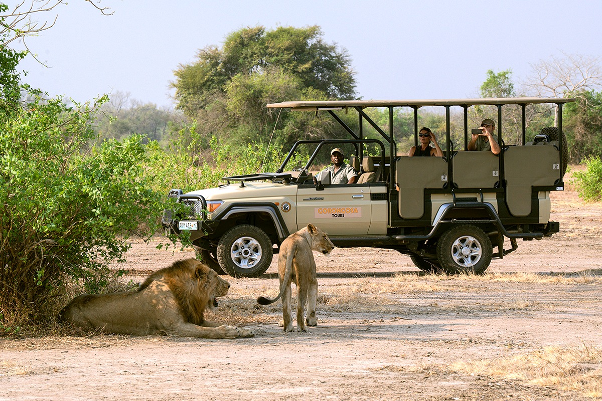 Guests on a safari game drive in Gorongosa