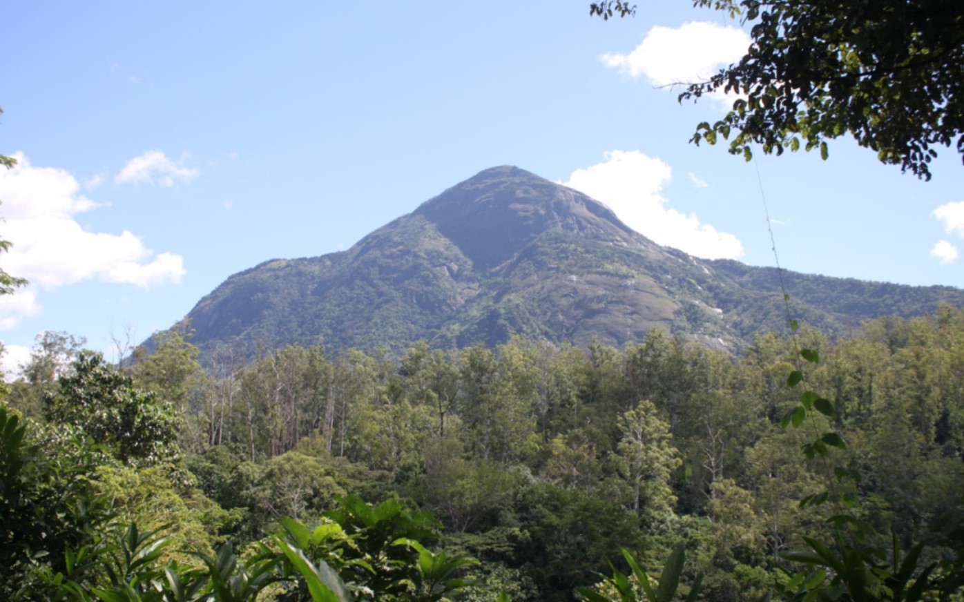 Mount Mabu in Mozambique - Sky Islands Africa