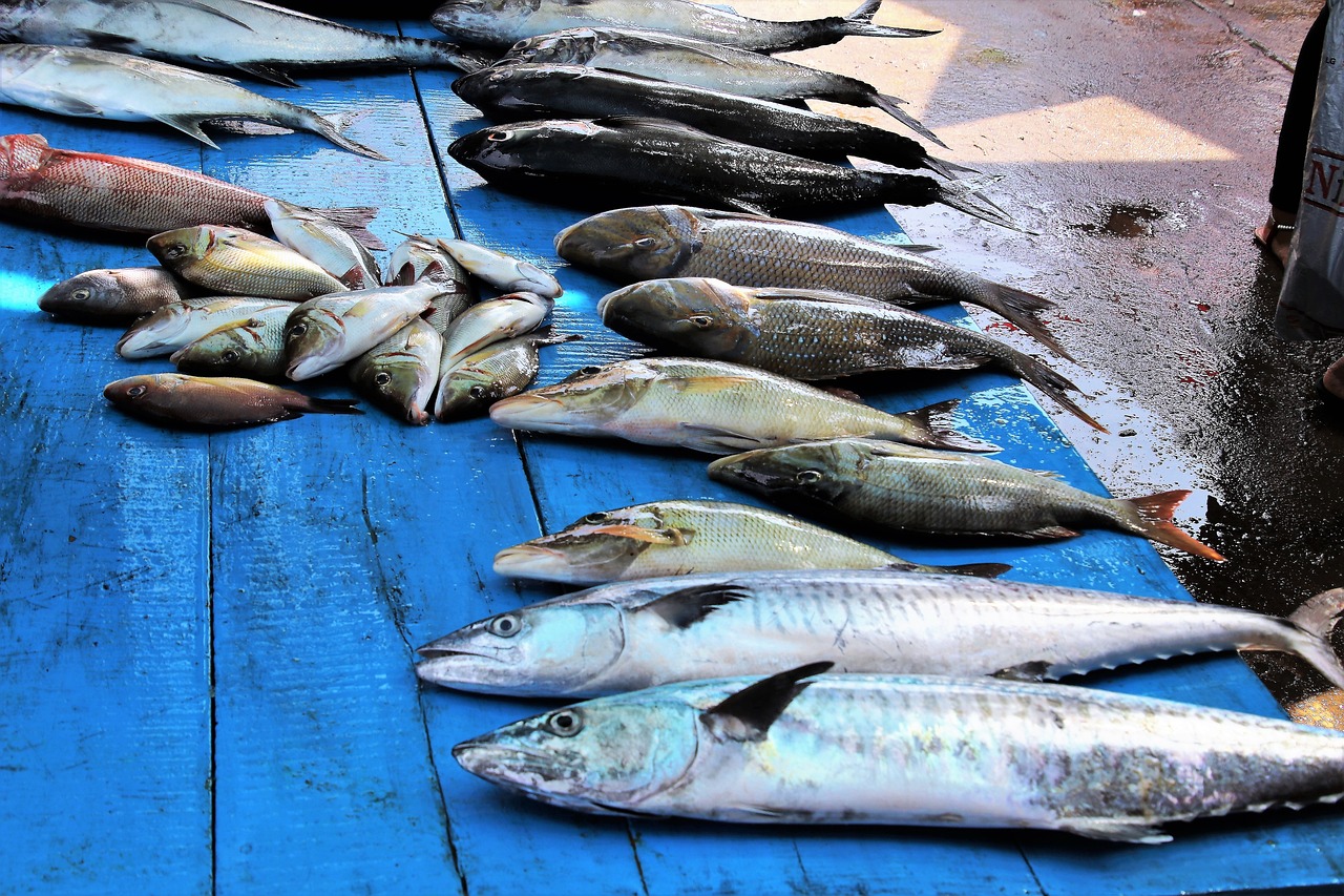 The Maputo fish market in Mozambique with different fish on the table