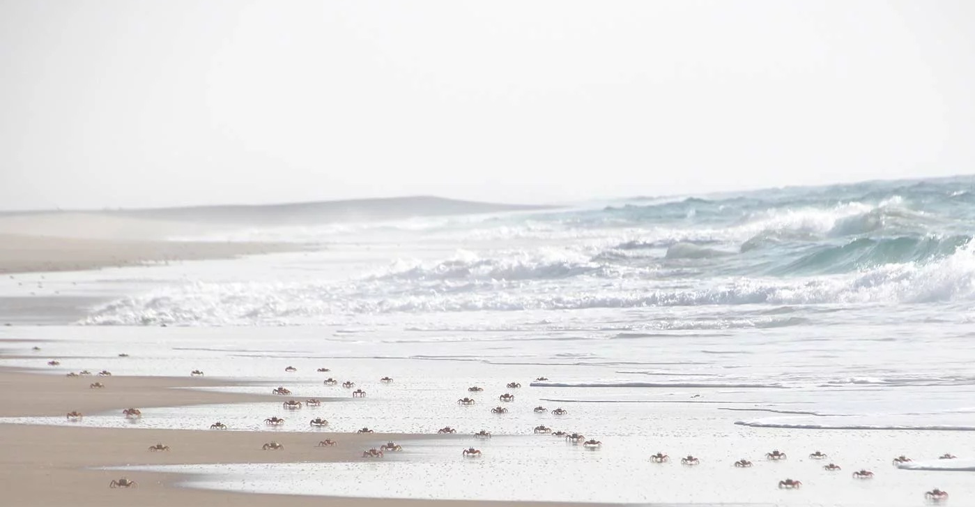 Vilanculos beach Vilanculos Wildlife Sanctuary